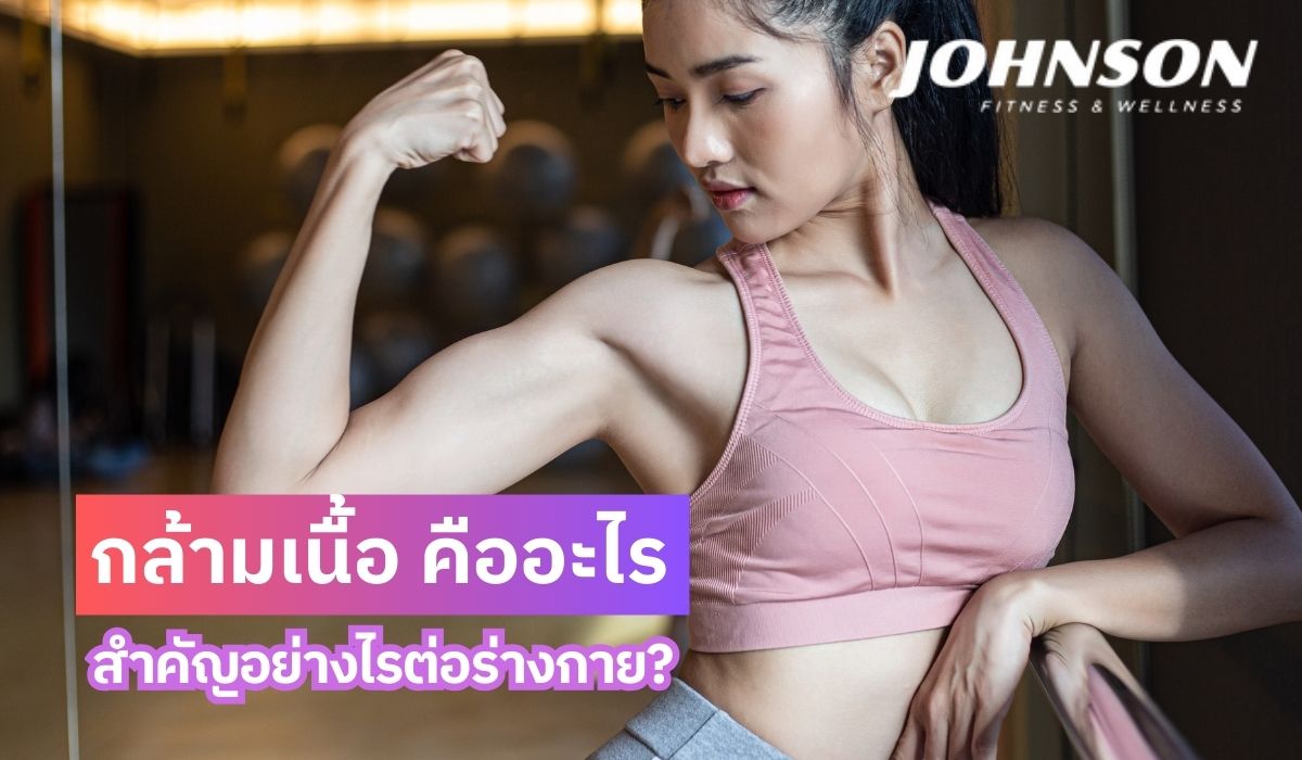 กล้ามเนื้อ คืออะไร สำคัญอย่างไรต่อร่างกาย?
