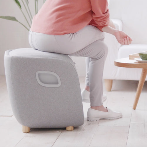 Foot-Calf-Lumbar-Ottoman Massager Model : 250
