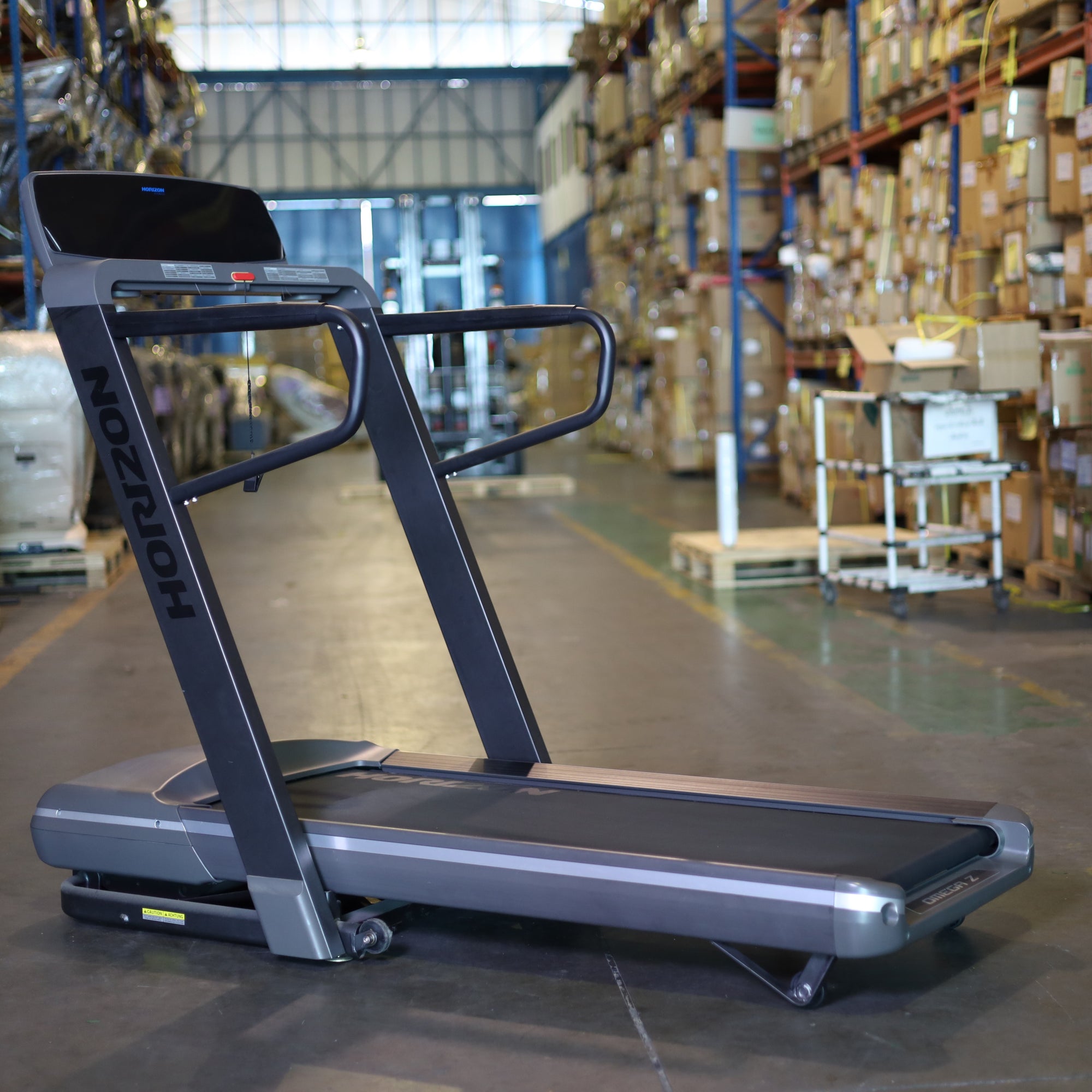 Horizon Treadmill Omega Z (Clearance Display)