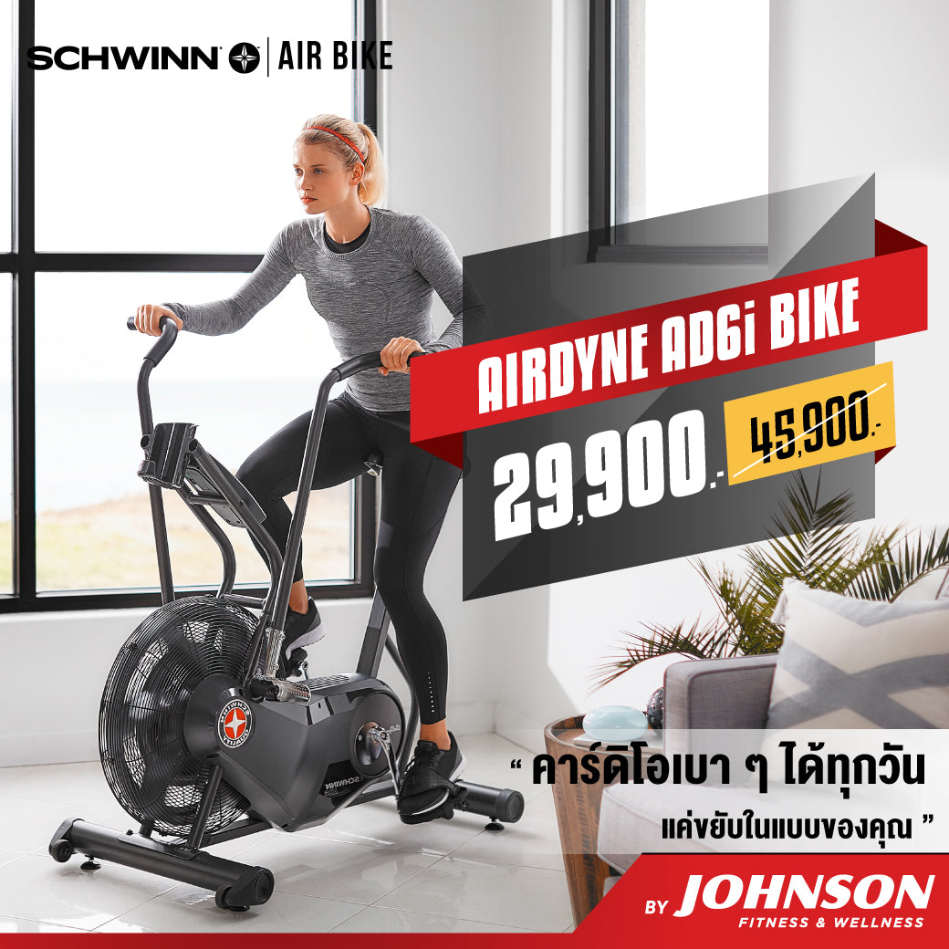 Ad6 Schwinn AD6 Airdyne: For Ultimate Workouts